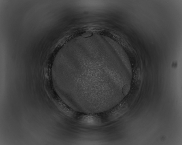 X0000091480755200708301914