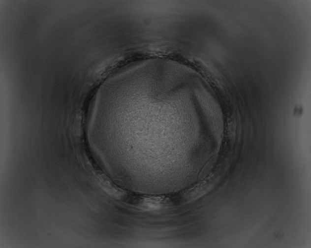 X0000091480757200708301914