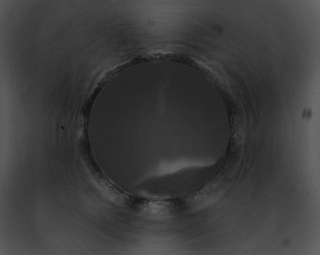 X0000091480758200708301914