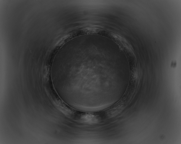 X0000091480759200708301914