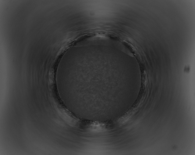 X0000091480760200708301914