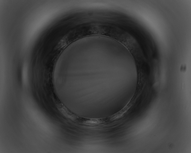 X0000091480765200708301914