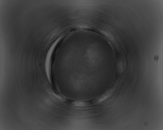 X0000091480766200708301914