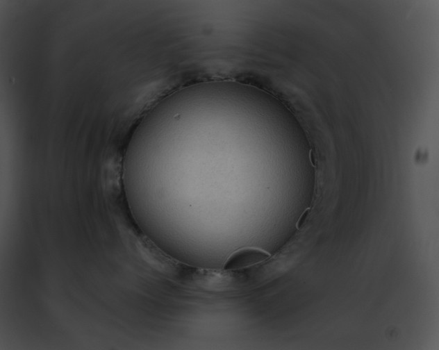 X0000091480768200708301914