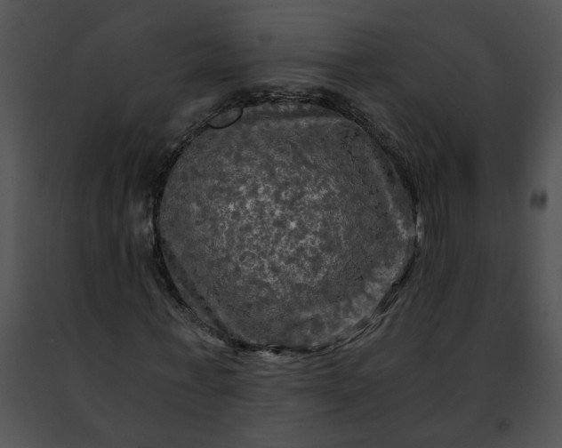 X0000091480771200708301914