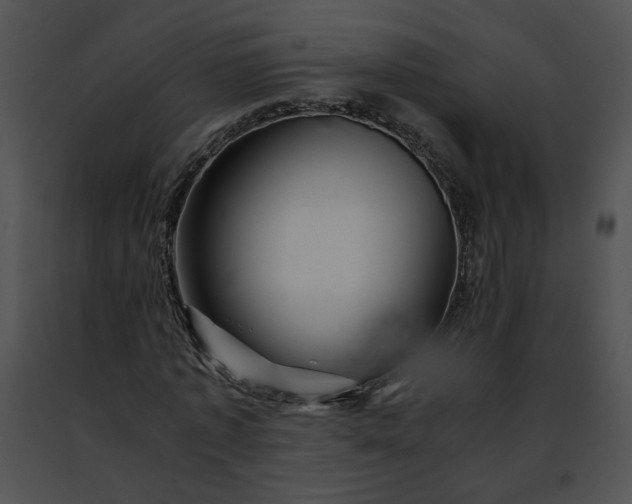 X0000091480773200708301914