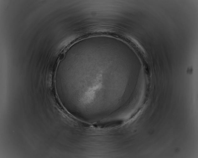 X0000091480777200708301913