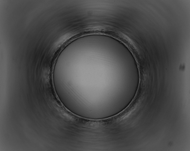 X0000091480778200708301913