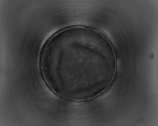 X0000091480780200708301913