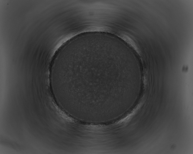 X0000091480781200708301913