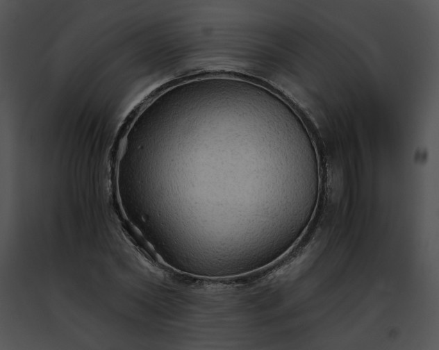 X0000091480782200708301913