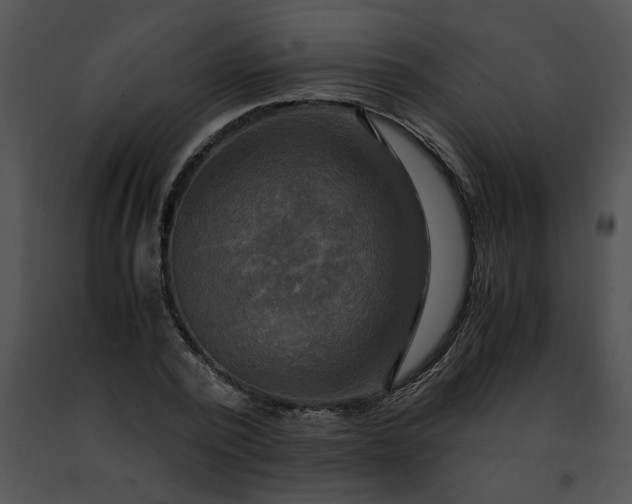 X0000091480784200708301913