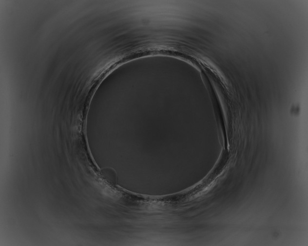 X0000091480785200708301913