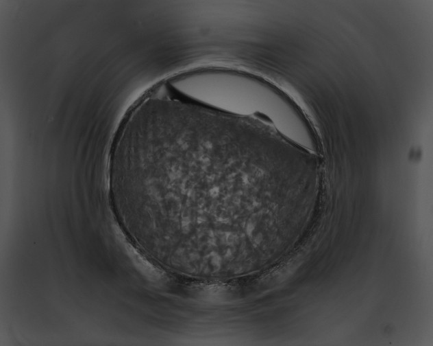 X0000091480791200708301913