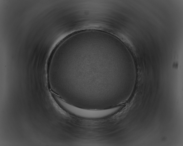 X0000091480792200708301913