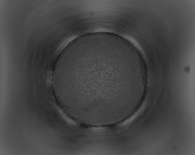 X0000091480793200708301913