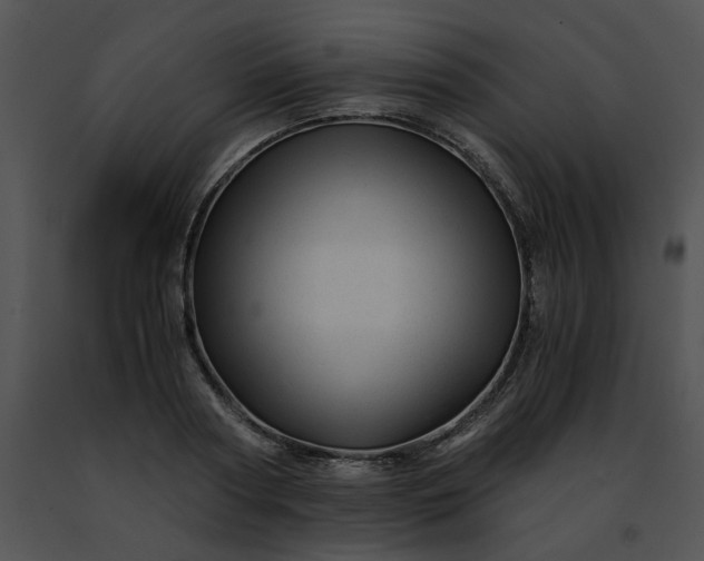 X0000091480794200708301913