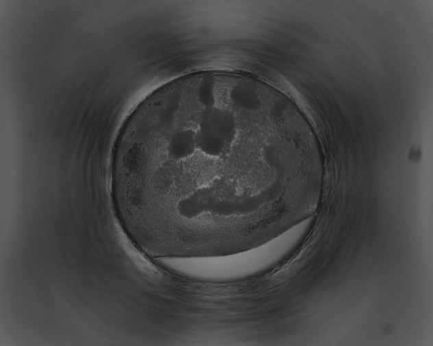 X0000091480795200708301913