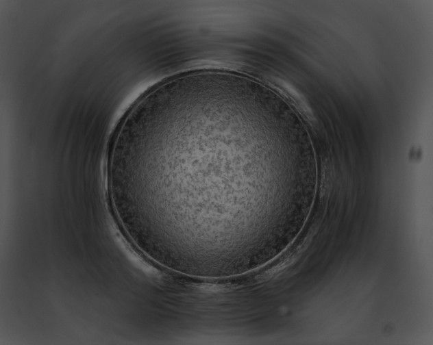 X0000091480796200708301913