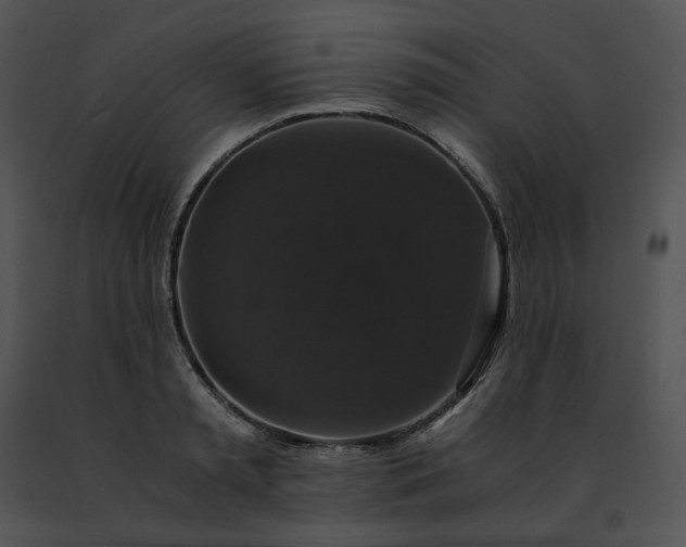 X0000091480797200708301913