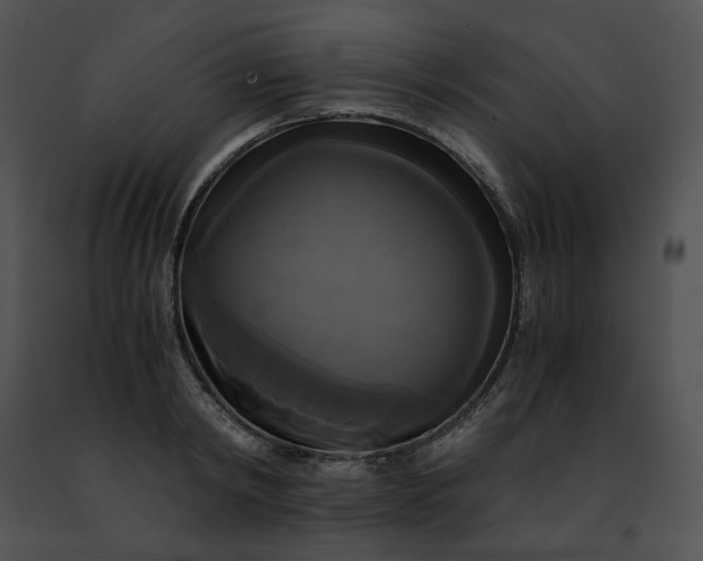 X0000091480798200708301913