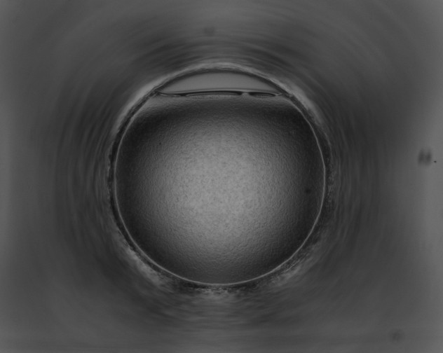 X0000091480799200708301913