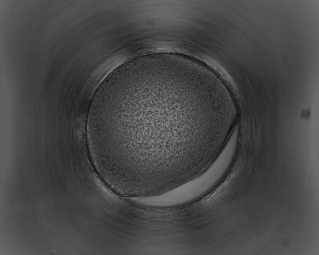 X0000091480801200708301913