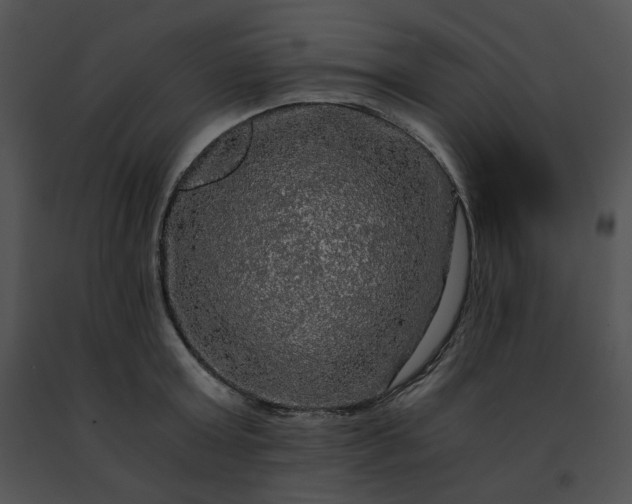 X0000091480803200708301913