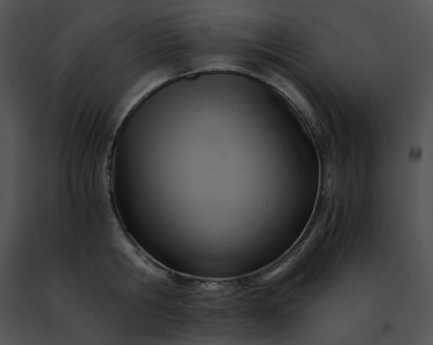 X0000091480806200708301913