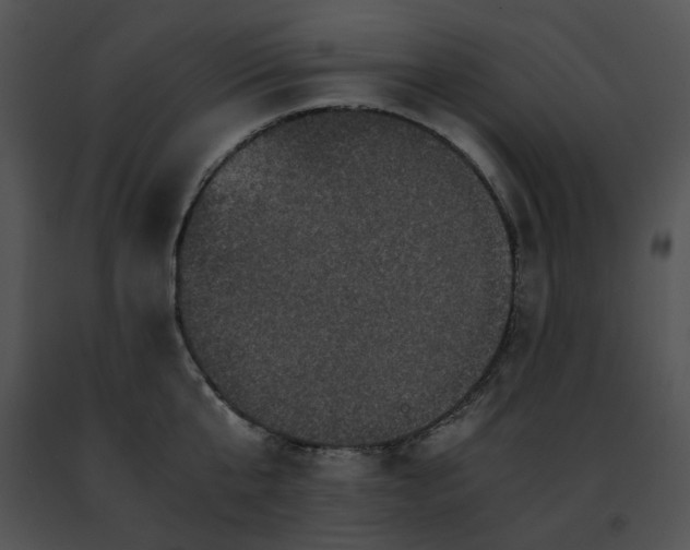 X0000091480807200708301913