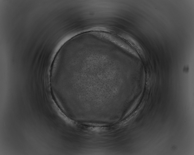 X0000091480808200708301913