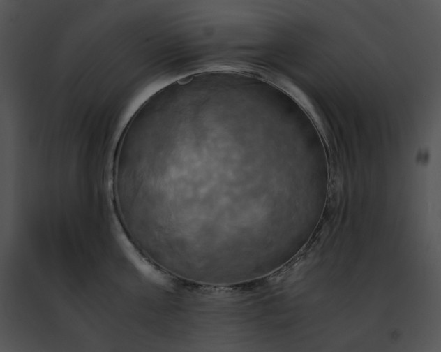 X0000091480811200708301913