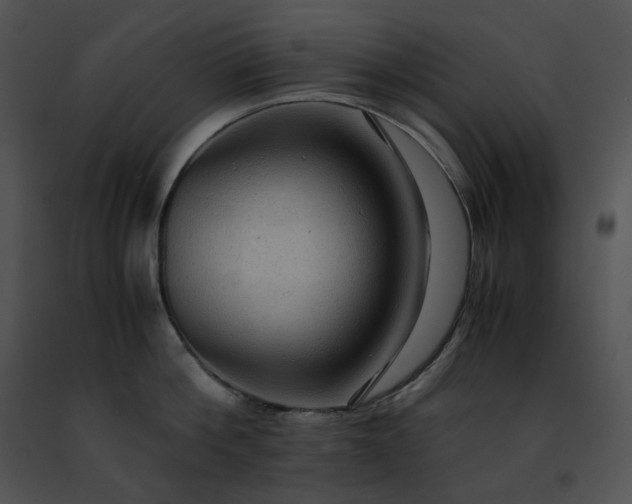 X0000091480812200708301913