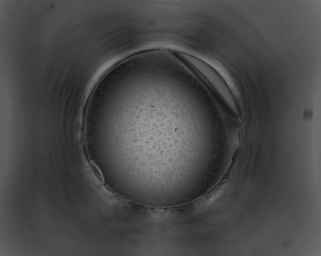 X0000091480815200708301913