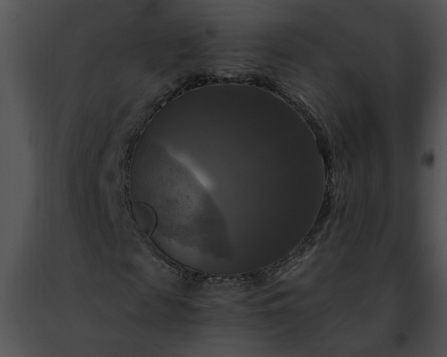 X0000091480817200708301912