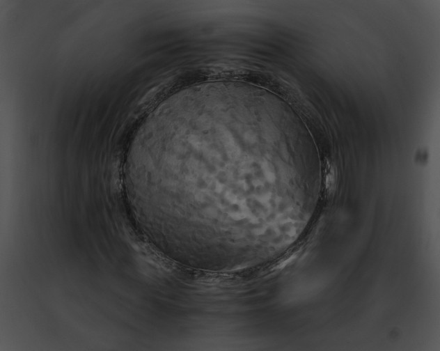 X0000091480819200708301912