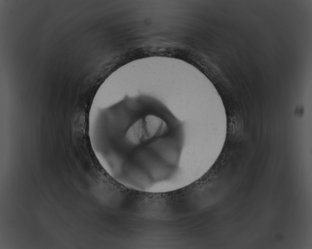 X0000091480820200708301912