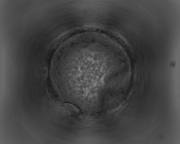 X0000091480821200708301912