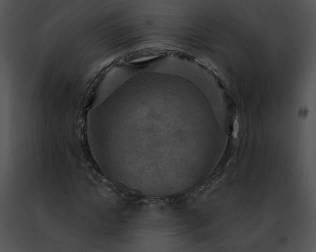 X0000091480822200708301912