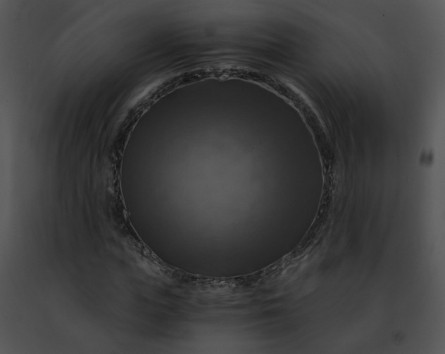 X0000091480823200708301912