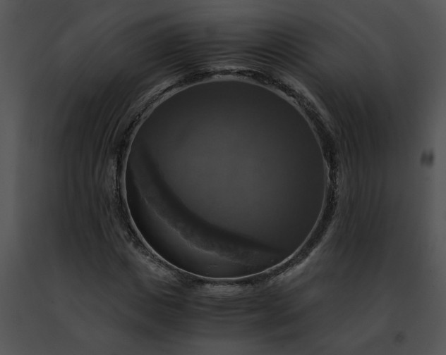 X0000091480825200708301912