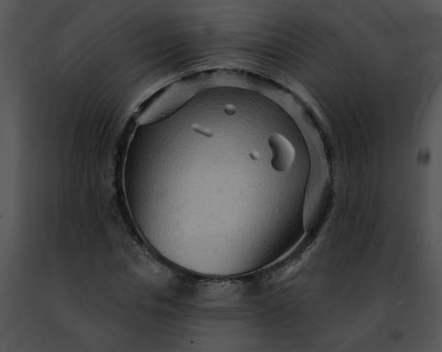 X0000091480826200708301913