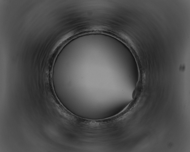 X0000091480827200708301913