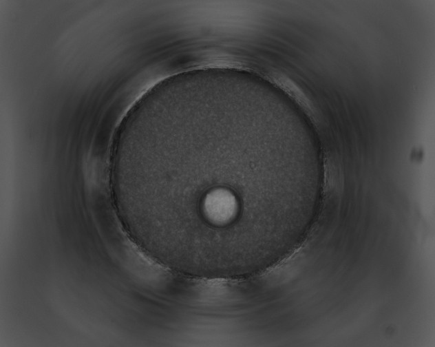 X0000091480828200708301913