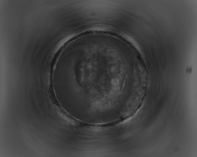 X0000091480829200708301913