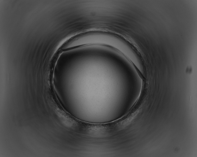 X0000091480830200708301913