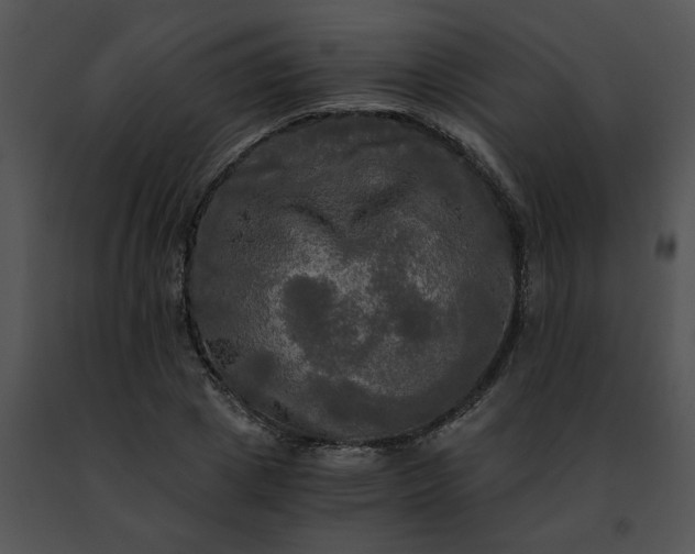 X0000091480833200708301913