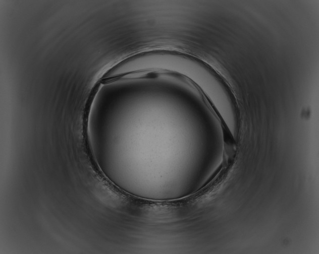 X0000091480834200708301913