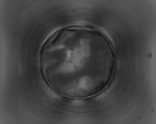 X0000091480835200708301913