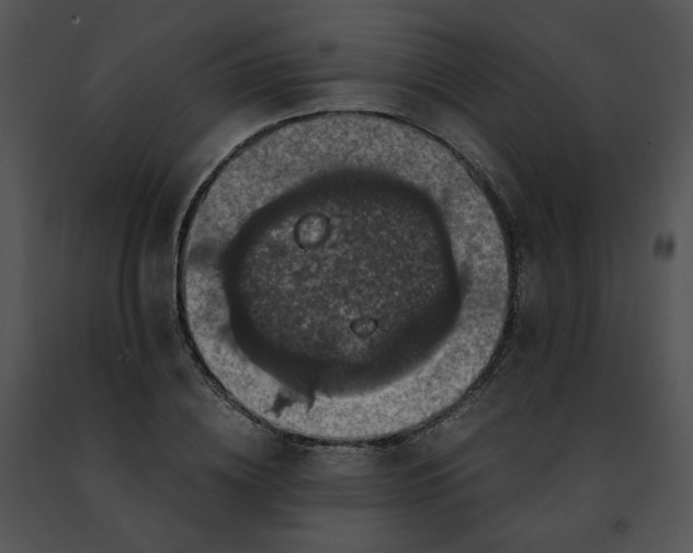 X0000091480836200708301913